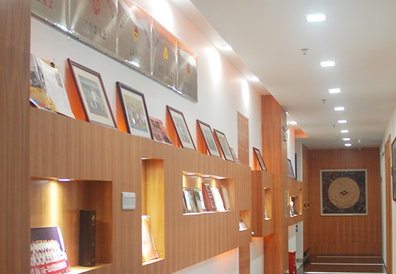 做為國產工業內窺鏡設備老品牌廠家，深圳亞泰光電深耕工業內窺鏡、工業管道內窺鏡、工業視頻內窺鏡等20余載，自主研發生產內窺鏡產品具有多項發明專利，內窺鏡廠家直銷，價格優惠。